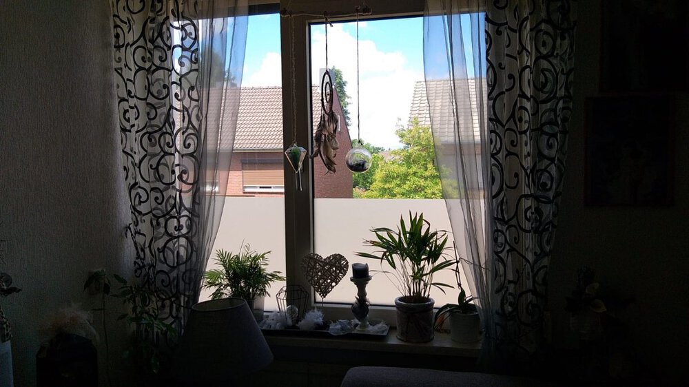 WhatsApp Image 2021-07-06 at 12.36.04.jpeg