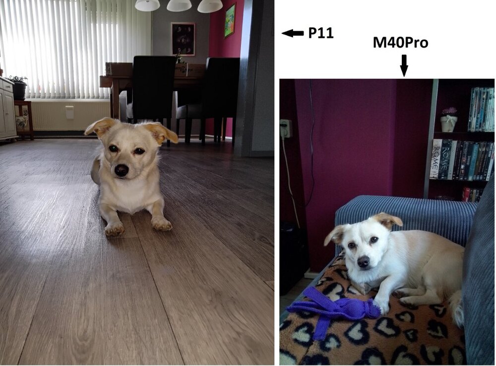 De Foto's 01 Cooper.jpg